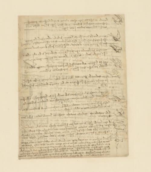 Léonard de Vinci Le Vol des oiseaux c. 1505 • Plume, encre et traces de sanguine 217 x 281 mm Veneranda Biblioteca Ambrosiana, Milan, CA f. 185r