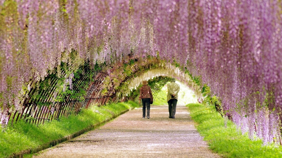 10 jardins à paris que vous aimerez pour leur charme secret mon ... Inspiration Jardin Sauvage