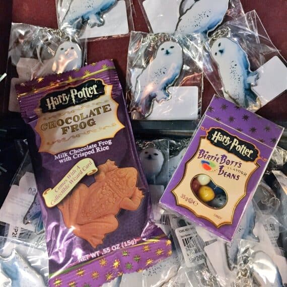 Harry Potter l'expo 16