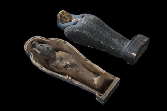 Momie d'Osiris Sokaris, Musée égyptien du Caire Statuette d'Osiris emmaillotée. Durant les mystères, deux statuettes d'Osiris étaient fabriquées : l'une d'Osiris dite végétante, constituée de limon et de grains mis à germer, illustrant ainsi le renouveau de la nature ; l'autre faite de limon, de résines et de pierres précieuses broyées, dite d'Osiris Sokaris. Les deux statuettes étaient emmaillotées selon tous les rituels requis, et déposées durant un an dans un tombeau provisoire avant d'être mises dans leur tombeau définitif à l'issue des mystères de l'année suivante. La tête de faucon du couvercle du petit sarcophage semble indiquer qu'il s'agit là d'un Osiris Sokaris. © Franck Goddio/Hilti Foundation, photo : Christoph Gerigk