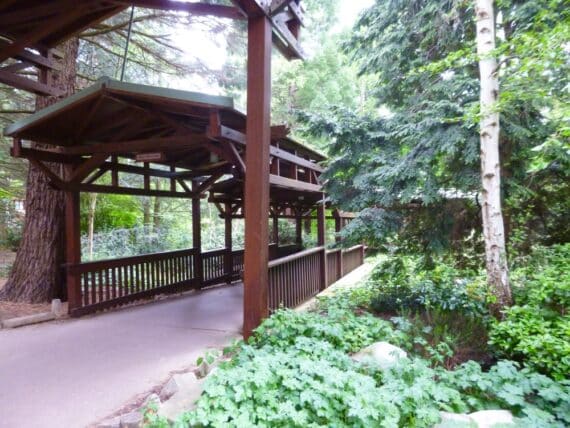 Disney's Sequoia Lodge 7