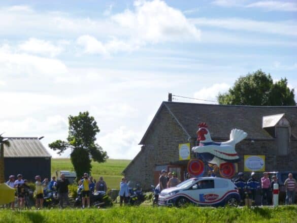 Trail des Gaulois : partenaire et participant